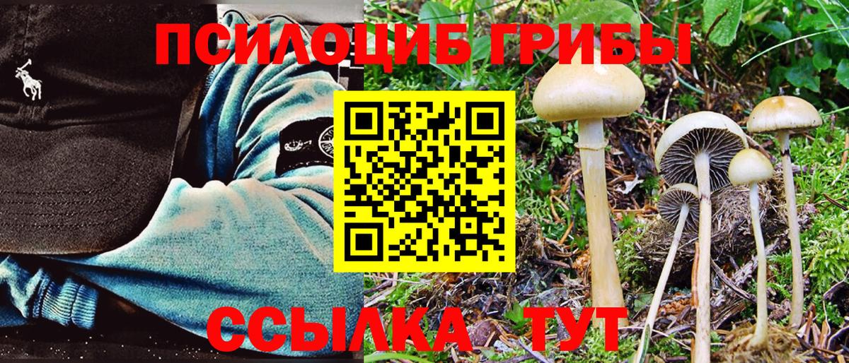 Ставрополь  Псилоцибиновые грибы Magic Shrooms  Вход с VPN  Псилоцибиновые грибы Psilocybine cubensis 