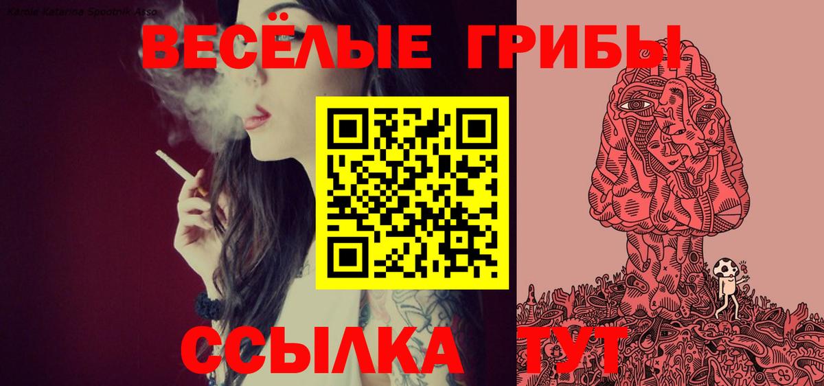 Псилоцибиновые грибы GOLDEN TEACHER Ставрополь